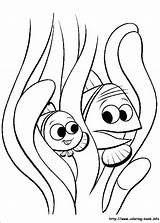 Nemo Coloring Pages Finding Squirt Getcolorings Printable sketch template