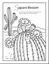 Coloring Pages Saguaro Arkansas Blossom Desert Ecosystem Drawing Flower State Cactus Getcolorings Getdrawings Paintingvalley Drawings Print sketch template