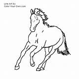 Horse Galloping Coloring Pages Warmblood Color Own Index Line sketch template