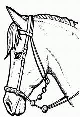 Horse Coloring Pages Zum Pferde Visit Drawing Drawings Ausmalbilder sketch template