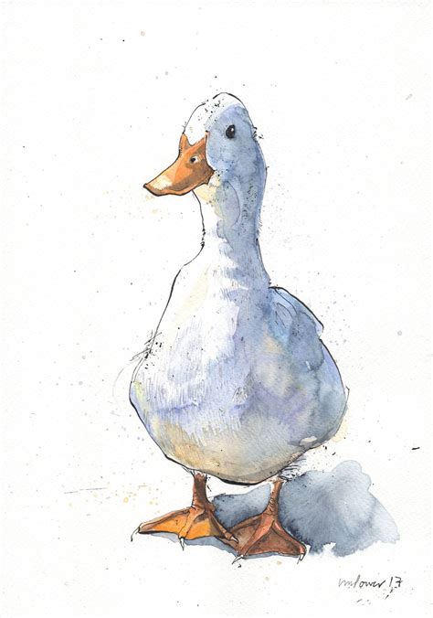 curious white duck original  ink drawing watercolour painting