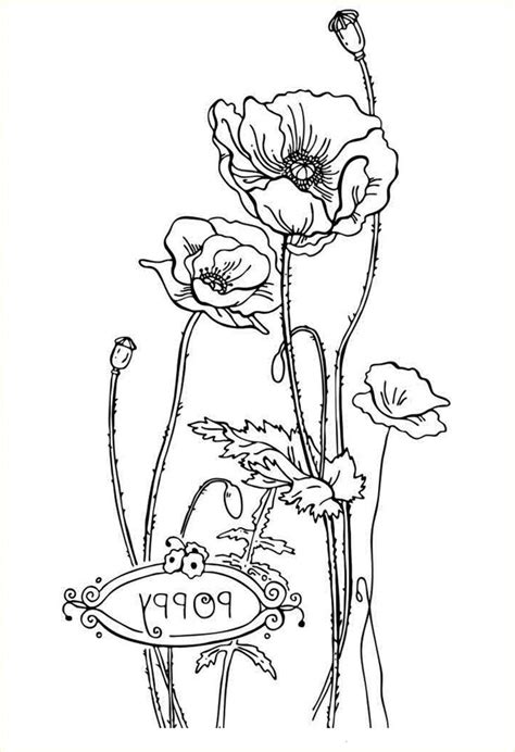 awesome poppy coloring pages    poppy coloring page