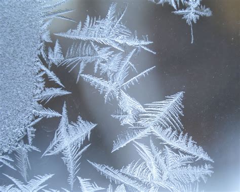 franks  window frost