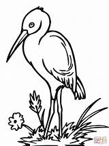 Stork Clipart Coloring Pages Bangau Cute Baby Cliparts Clip Storks Printable Colouring Super Clipground Drawings Delivering Library Popular Comments Coloringhome sketch template
