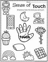 Senses Preschool Preescolar Planningplaytime Sentidos Niños Trabajo Imprimibles Cinco Ingles Playtime Lessons sketch template