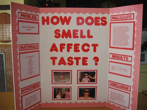 stylish high school level science fair project ideas