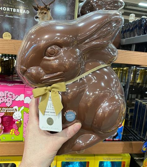 huge chocolate easter bunny spotted  ms money saver