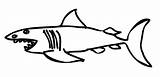 Shark Coloring Drawing Pages Lemon Clipart Template Kids Printable Sharks Cliparts Clip Print Angry Library Big Sad Getdrawings Coloringhome Comments sketch template