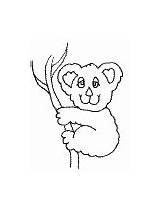 Coloring Koala Pages Animals Australia Letter Bear sketch template