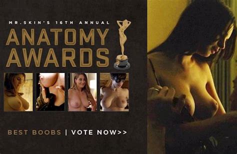 vote and win a gopro with mr skin s 2015 anatomy awards big tits and big boobs at boobie blog