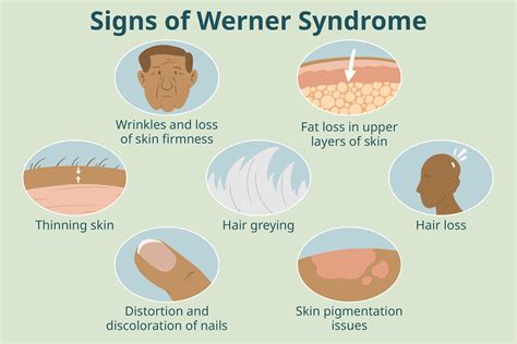 werner syndrome