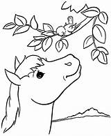 Horse Coloring Pages Kids Farm Printable Book Country Animals Visit Sheets sketch template