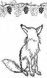Grapes Fox Clipart Outline Fables Library Kids Hungry Cliparts Clip High sketch template