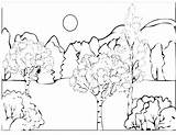 Coloring Pages Forest Habitat Rainforest Enchanted Printable Getcolorings Color Colouring Getdrawings Print Colorings Kinde sketch template