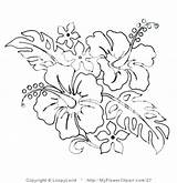 Hibiscus Coloring Flower Pages Getcolorings Printable sketch template