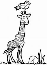 Girafe Giraffe Colorier sketch template