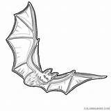 Bat Coloring Drawings Coloring4free Related Posts sketch template