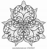 Mandala Coloring Flower Lily Adults Vector Posy Valley Outlines Bouquet Shutterstock Background Posies Pages Stock Template Search sketch template