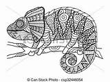 Kameleon Volwassenen Afbeeldingsresultaat sketch template