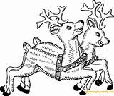 Pages Christmas Reindeers Santa Coloring Color Online Adults sketch template