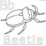 Coloring Tiger Beetles sketch template