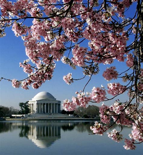 Best Cities To Visit In The Spring In The United States 2017 Best