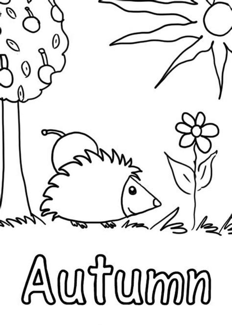 printable fall coloring pages  kids  coloring pages  kids