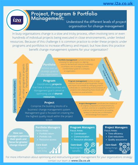 project programme portfolio management infographic iacouk