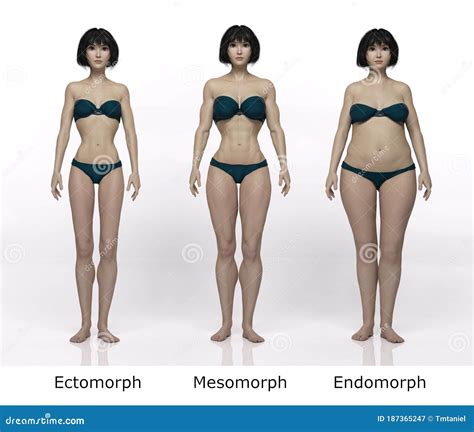 render standing female body type  skinny typemuscular type