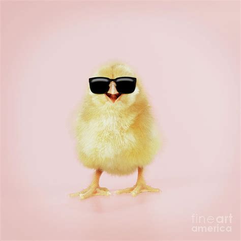 Cool Chick Wearing Sunglasses Smiling Photograph By John Daniels