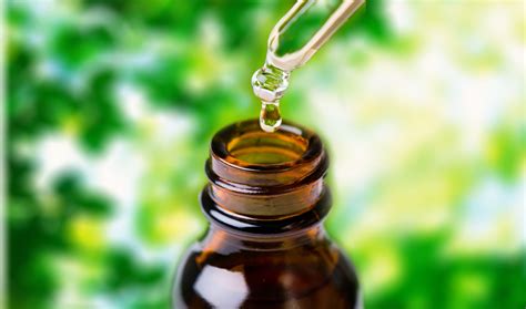 relieving acid reflux  essential oils health wellness sottnet