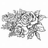Bunch Roses Drawing Rose Bouquet Flower Digi Stamps Drawings Stamp Paintingvalley sketch template