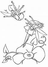Flower Fairy Jumping Coloring Pages Barbie Fairytopia sketch template