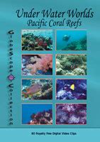 stock footage collections  water worlds pacific coral reefs royalty  stock footage