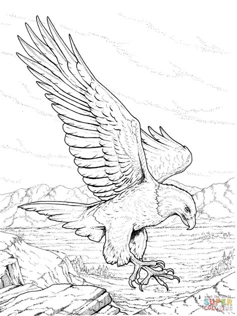 awesome bald eagle coloring page   httpdesignkids