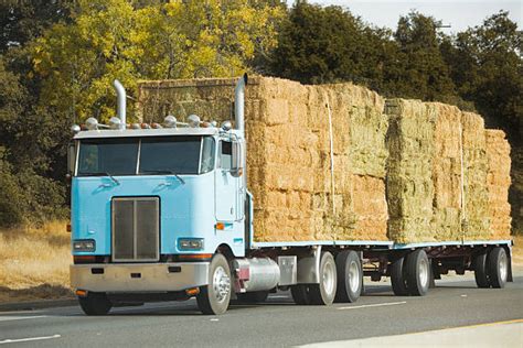 hay truck stock  pictures royalty  images istock