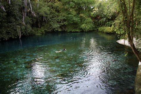 parque natural las estacas fuente de vida mexico ruta magica