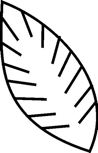 palm leaf outline clipart