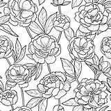 Outline Peony Leaves Flowers Floral Flower Pattern Coloring Vector Background Wallpaper Choose Board Seamless Romantic sketch template