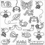 Coloring Insects Pages Insect Bug Color Bugs Sheets Cute sketch template