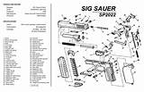 Sig P320 Sauer Sp2022 Exploded Disassembly Send Pistols sketch template