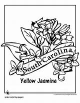 Carolina Coloring South State Flower Pages North Symbols Printable Jr Print Getcolorings Kids Color Designlooter Template Popular sketch template