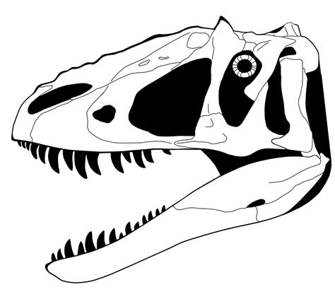 dinosaur skeleton coloring pages cy  bday pinterest