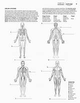 Physiology Kaplan Muscles Workbook sketch template