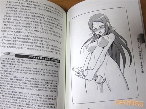 The Art Of Female Onanism Sankaku Complex