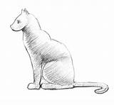 Howtodrawanimals Hind Cats Pencil Shaded Paws sketch template