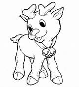Reindeer Reno Rodolfo Craciun Rudolph Renifer Kolorowanki Renos Reni Biche Animaux Colorat Dibujo Dzieci 1158 Fise Planse Animales Coloriage Renne sketch template