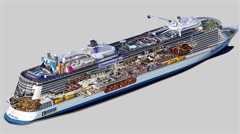 royal caribbean posts updated quantum   seas cutaway royal caribbean blog