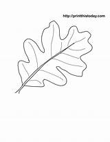 Leaf Autumn Oak Printable Coloring Fall Pages Stencil Leaves Template Patterns Traceable Color Acorn Stencils Clipart Templates Library Oakleaf Popular sketch template