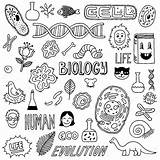 Biología sketch template